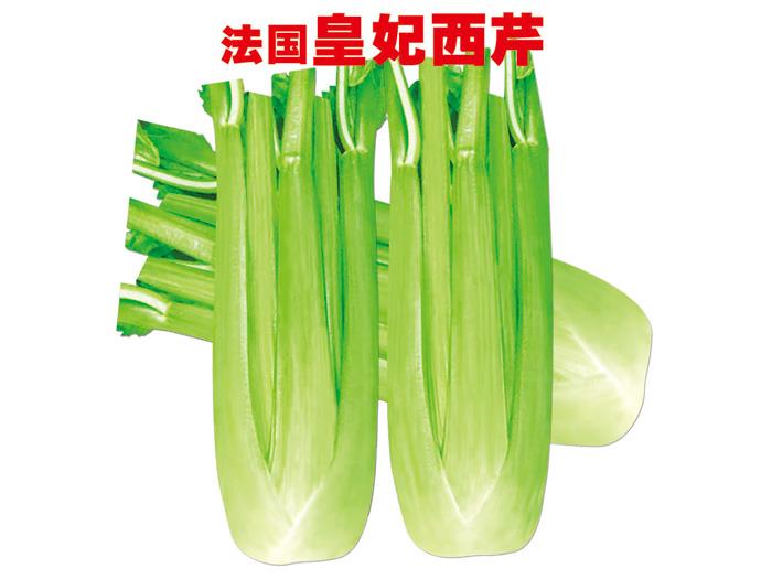 Celery seeds-French princess celery