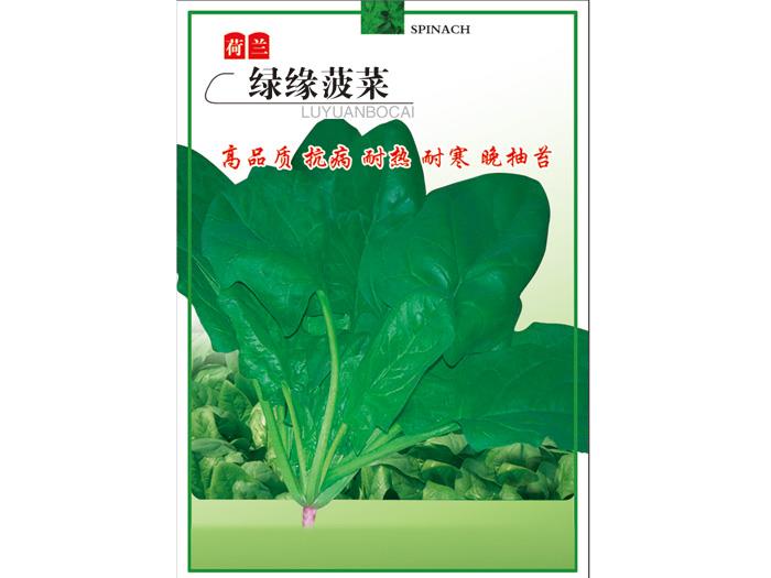 Green rim spinach