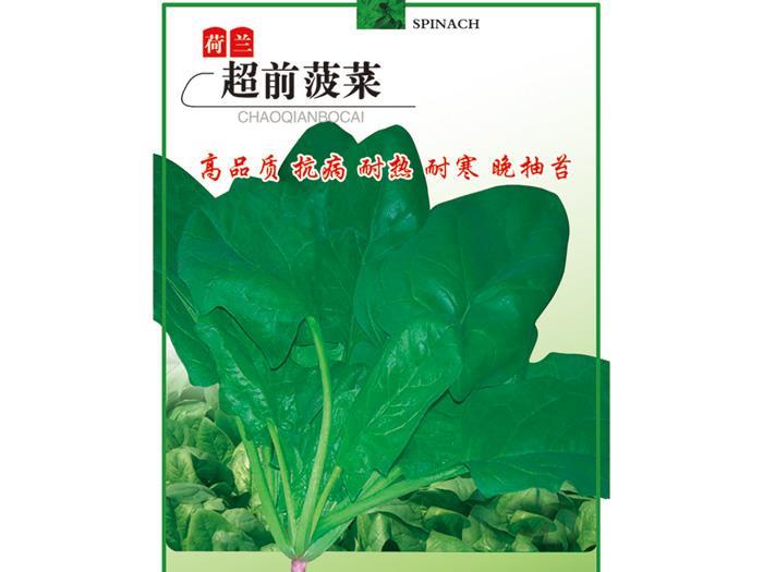 Spinach Seeds-Advanced spinach