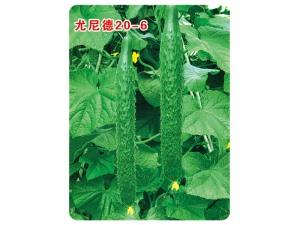 Cucumber seeds-Yunid 20-6