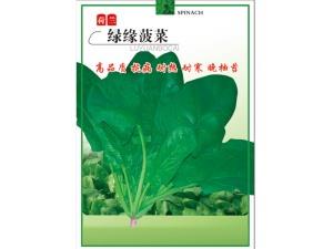 Green rim spinach